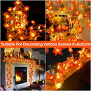 Thanksgiving Decorations Enlarged Maples Leafed Fall Decorations for Home Fall Lights Thick Leafs Garlands, Total 20Ft TURNMEON 2 Pack 40LED Battery Operated Waterproof Halloween Decor Indoor Outdoor