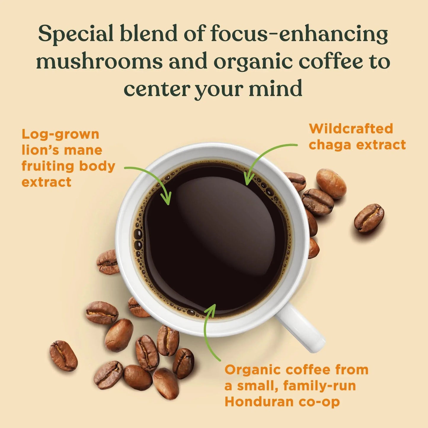 Four Sigmatic Focus Mushroom Coffee | Organic Ground Coffee with Lion's Mane Mushroom and Chaga Mushroom | Nootropic Mushroom Coffee for Better Focus and Immune Support | 12oz Bag - North State Signs & Printing