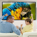 Mdbebbron 120 inch Projector Screen 16:9 Foldable Anti - Crease Portable Projector Movies Screens for Home Theater Outdoor Indoor Support Double Sided Projection - North State Signs & Printing